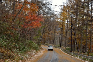D08_6127.jpg