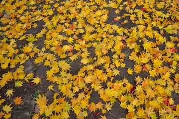 D08_6130.jpg