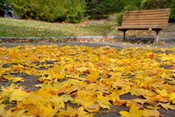 D08_6131.jpg