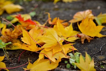 D08_6138.jpg