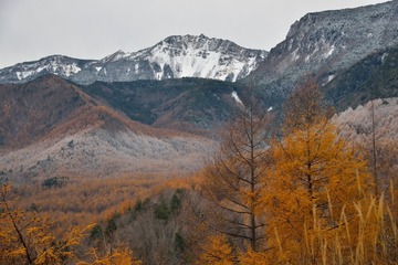 D08_6141.jpg