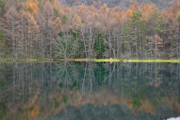 D08_6150.jpg