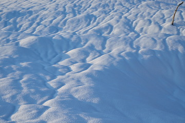 D08_7190.jpg