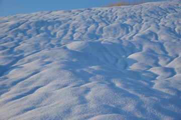 D08_7191.jpg