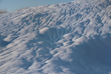 D08_7196.jpg