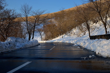 D08_7197.jpg